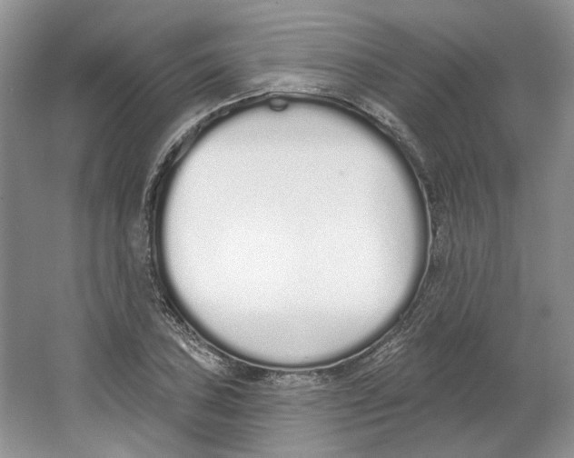 X0000064051027200602171705