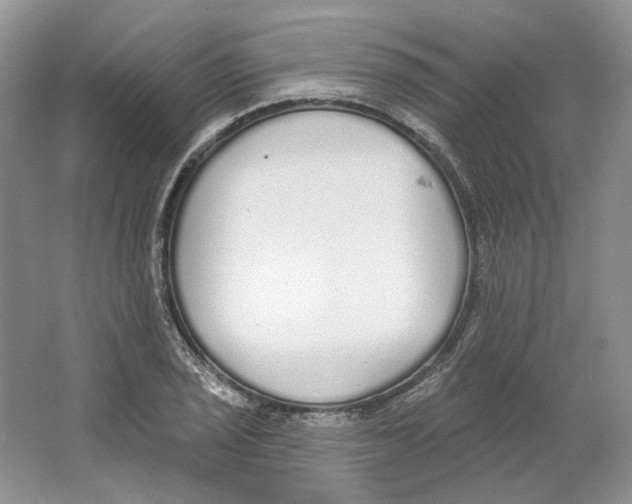X0000064051029200602171705
