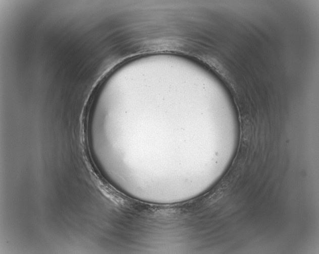 X0000064051031200602171705