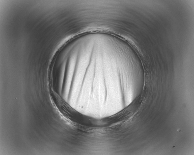 X0000064051038200602171705