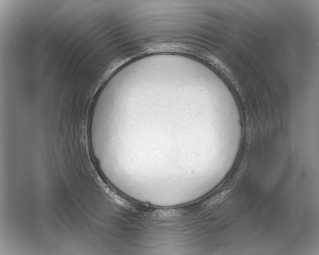 X0000064051041200602171705