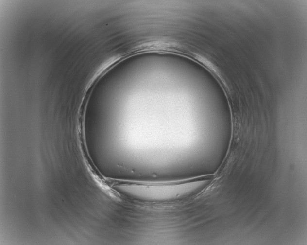 X0000064051042200602171705