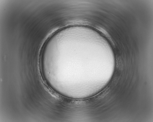 X0000064051043200602171705
