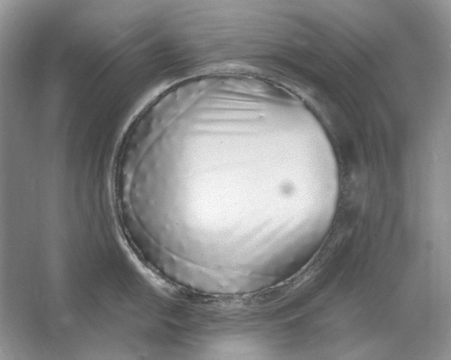 X0000064051054200602171705