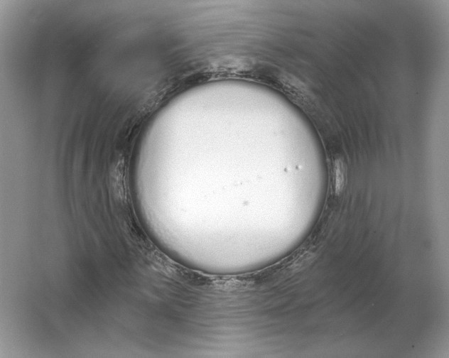 X0000064051059200602171705