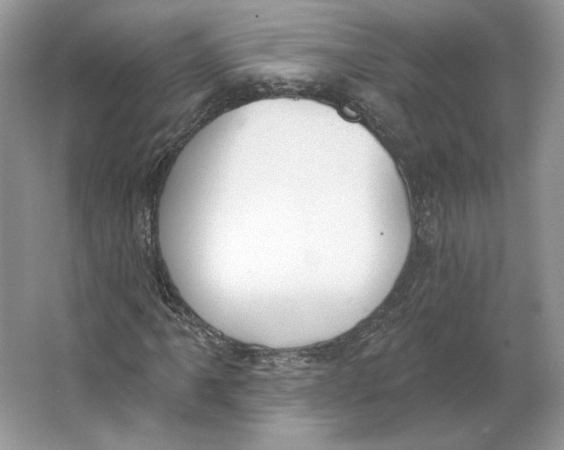 X0000064051061200602171705