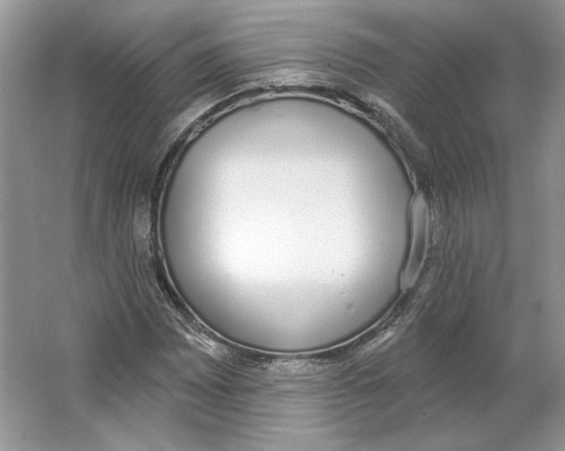 X0000064051065200602171704