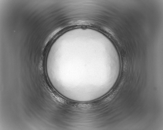 X0000064051066200602171704