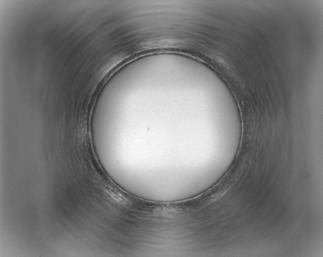 X0000064051073200602171704