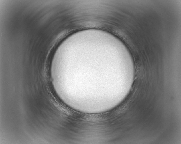 X0000064051074200602171704