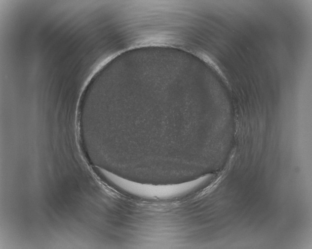 X0000064051077200602171704