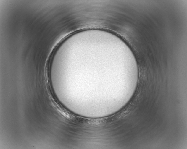 X0000064051078200602171704