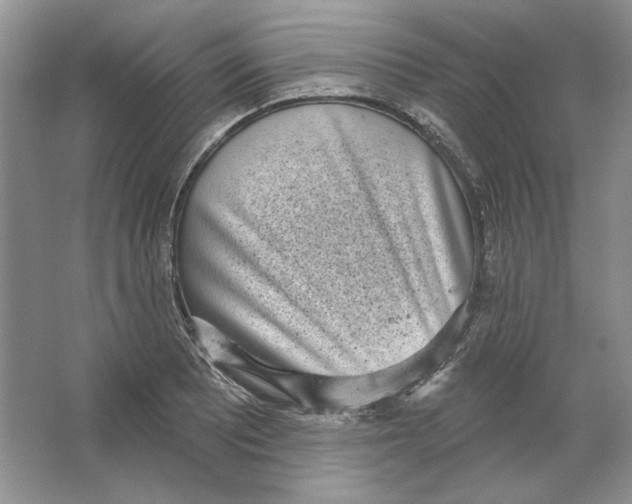 X0000064051081200602171704