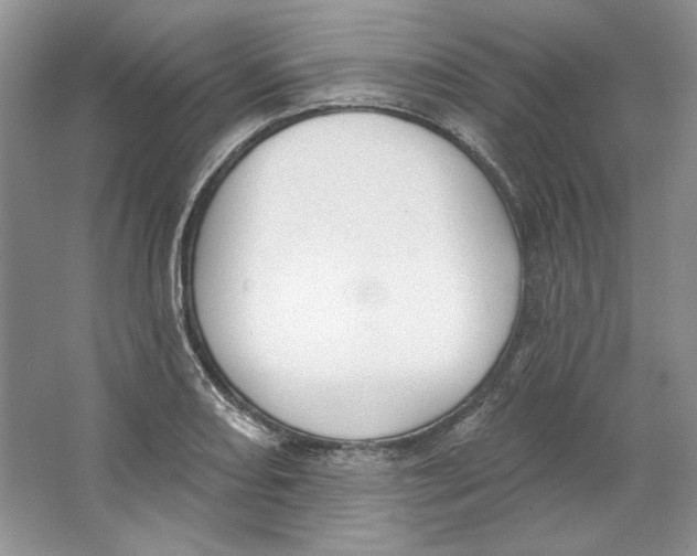 X0000064051082200602171704