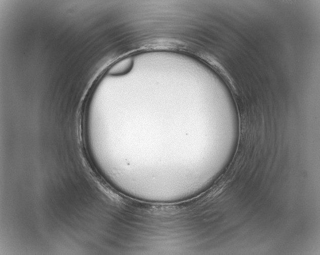 X0000064051083200602171704