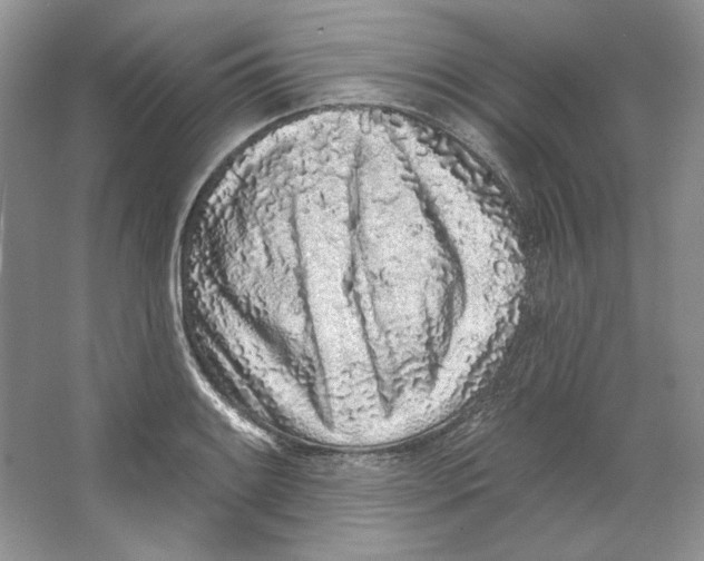 X0000064051084200602171704