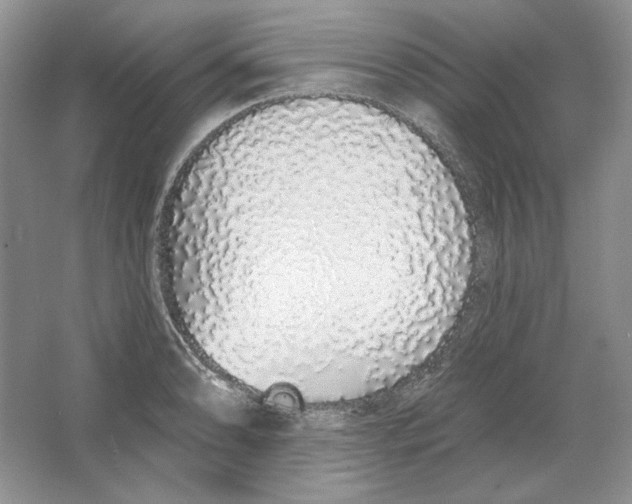 X0000064051086200602171704