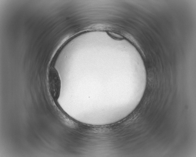 X0000064051091200602171704