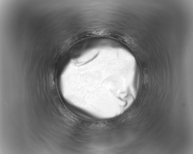 X0000064051106200602171703