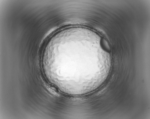 X0000064051114200602171703