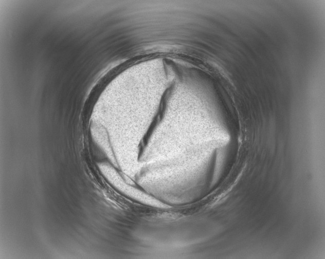 X0000064051117200602171703