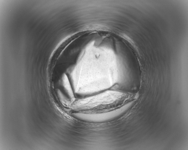 X0000064051120200602171703