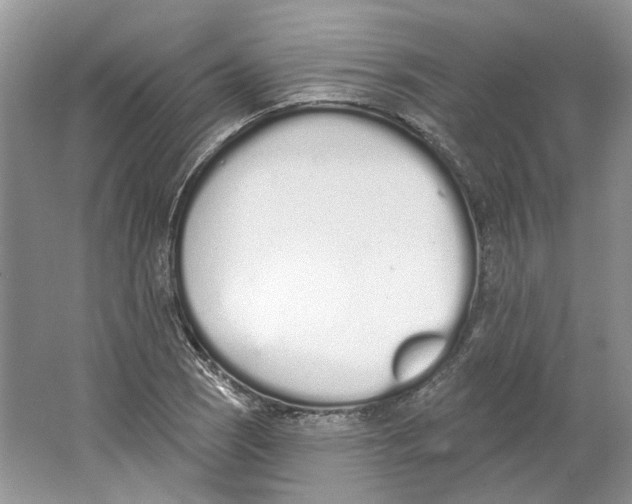 X0000064051121200602171703