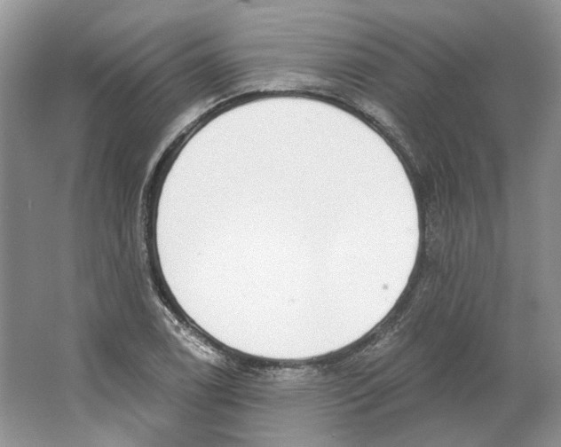 X0000064051122200602171703