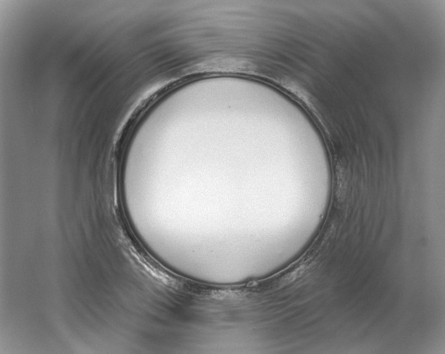 X0000064051123200602171703