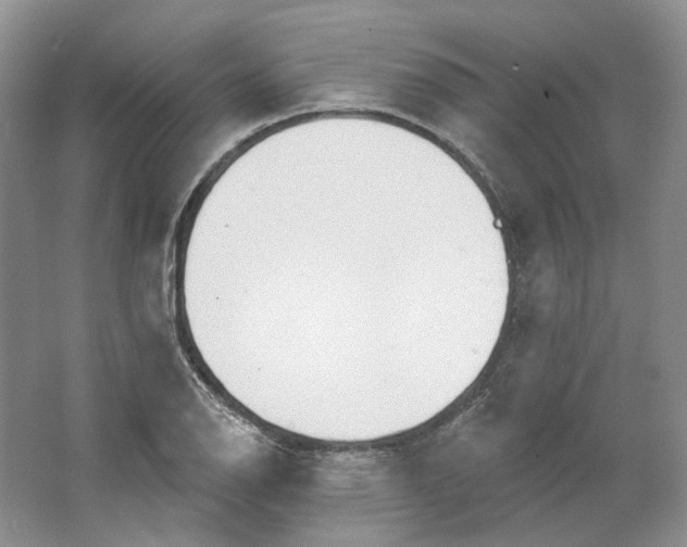 X0000064051126200602171703