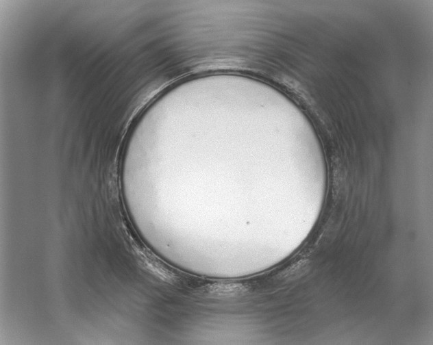 X0000064051129200602171703
