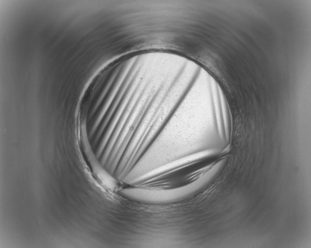 X0000064051132200602171703