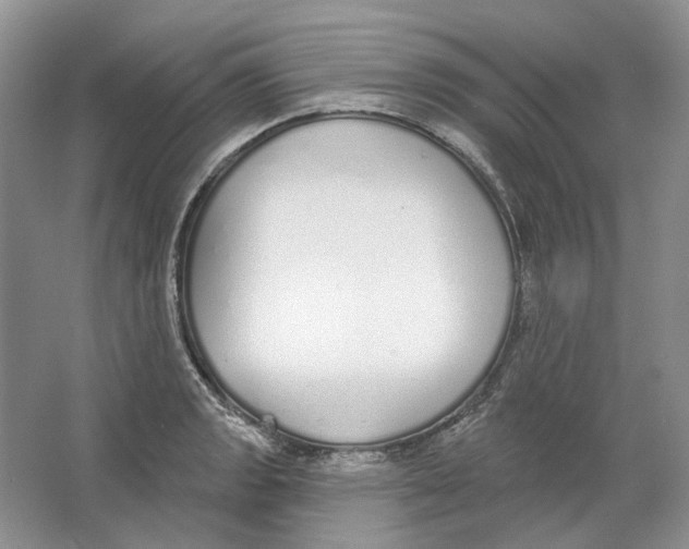 X0000064051133200602171703
