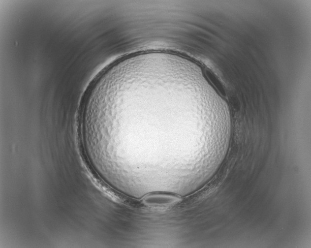 X0000064051134200602171703