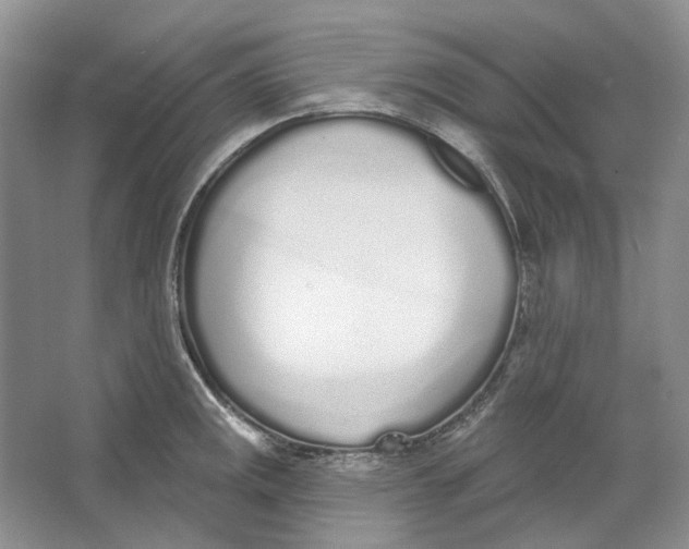 X0000064051141200602171704