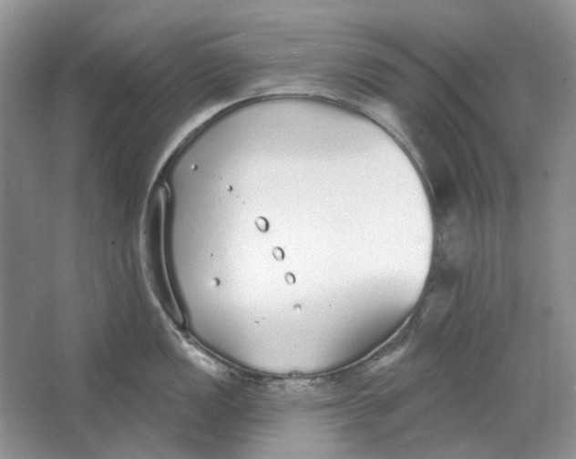 X0000064051149200602171704