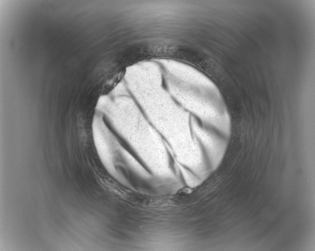 X0000064051154200602171703