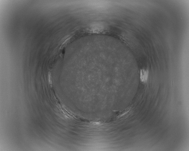 X0000064051155200602171703