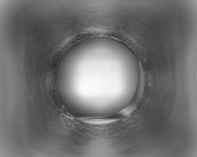 X0000064051157200602171703