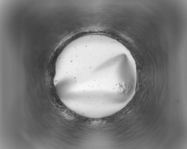 X0000064051160200602171703