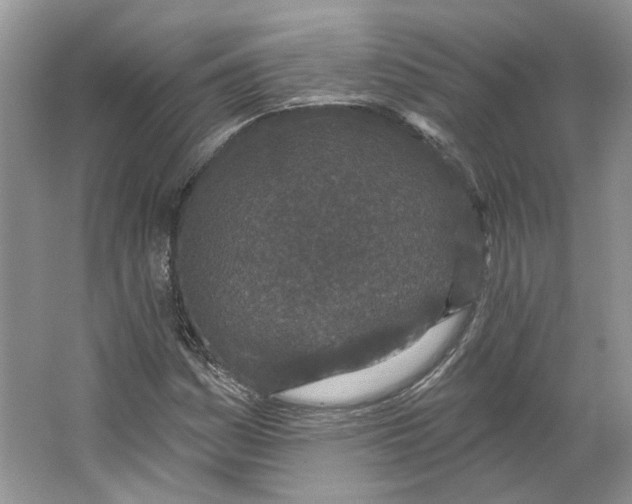 X0000064051161200602171703