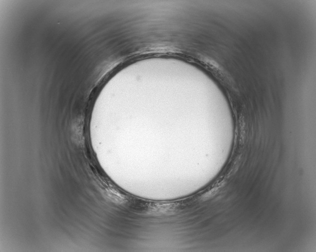 X0000064051162200602171703