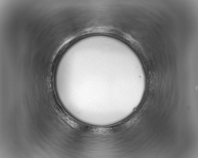 X0000064051166200602171703