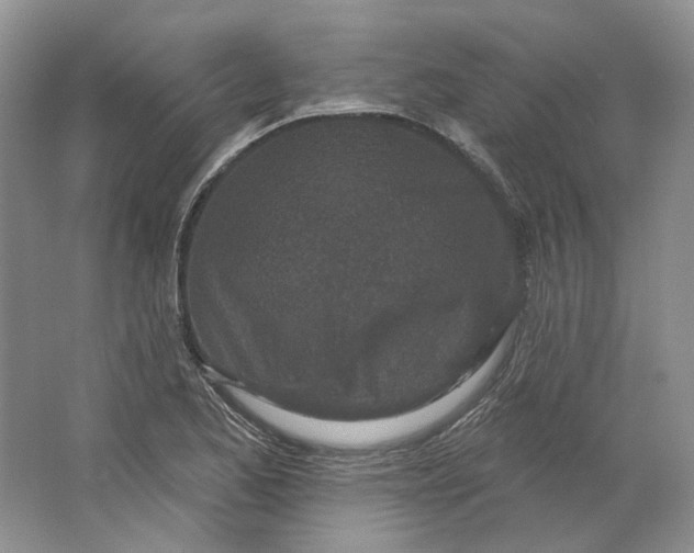 X0000064051173200602171703