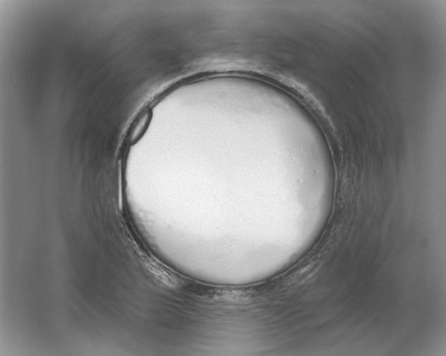 X0000064051175200602171703