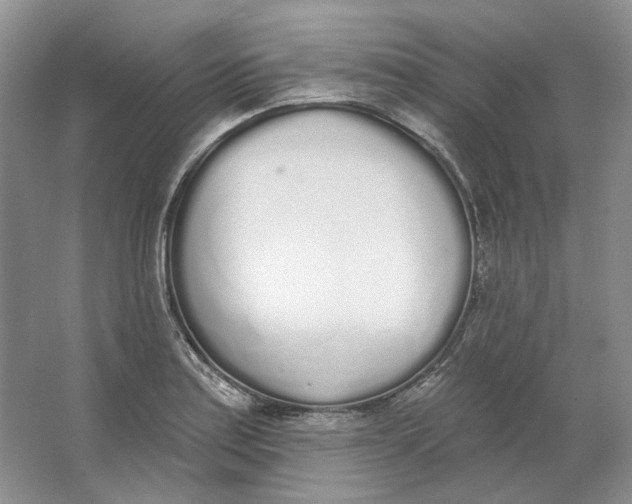 X0000064051179200602171703
