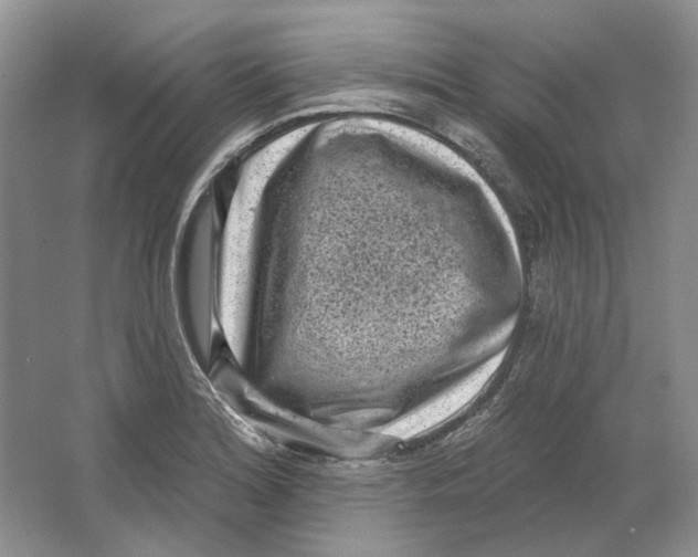 X0000064051180200602171702