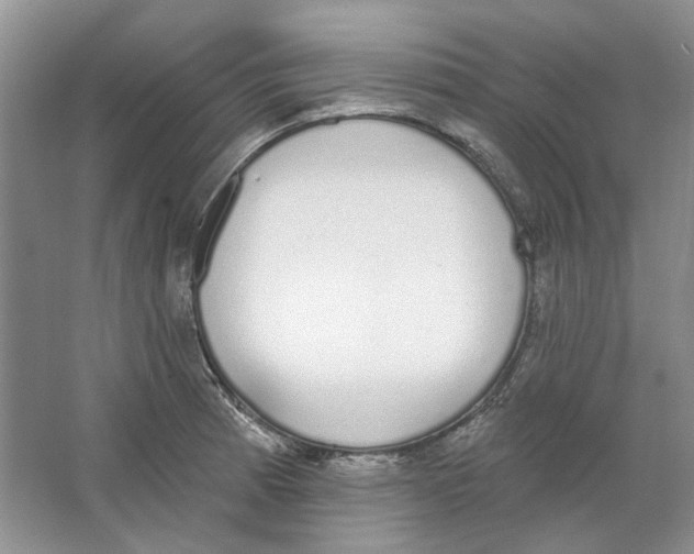 X0000064051185200602171702