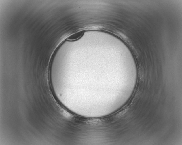 X0000064051186200602171702