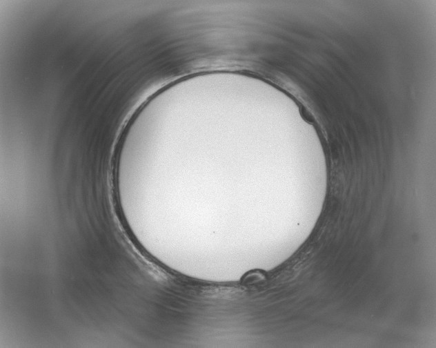 X0000064051187200602171702